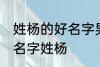 姓杨的好名字男孩 独一无二的好听男名字姓杨