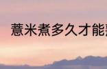 薏米煮多久才能熟呢 薏米煮熟时间