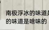 南极浮冰的味道是什么味的 南极浮冰的味道是啥味的