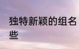 独特新颖的组名 独特新颖的组名有哪些
