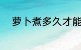 萝卜煮多久才能熟 萝卜煮熟时长