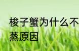 梭子蟹为什么不能清蒸 梭子蟹不能清蒸原因