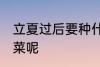 立夏过后要种什么菜 立夏过后种什么菜呢