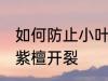 如何防止小叶紫檀开裂 怎样防止小叶紫檀开裂