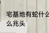 宅基地有蛇什么兆头 宅基地有蛇是什么兆头