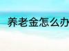 养老金怎么办理 养老金办理的方法