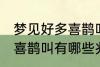 梦见好多喜鹊叫有什么兆头 梦见好多喜鹊叫有哪些兆头
