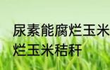 尿素能腐烂玉米秸秆吗 尿素能不能腐烂玉米秸秆