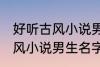 好听古风小说男生名字 韵味十足的古风小说男生名字