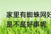 家里有蜘蛛网好事坏事 家里有蜘蛛网是不是好事呢