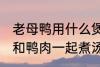 老母鸭用什么煲汤最好 哪些食物可以和鸭肉一起煮汤