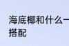 海底椰和什么一起煲汤好 海底椰煲汤搭配