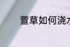 萱草如何浇水 萱草怎样浇水