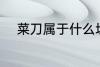 菜刀属于什么垃圾 菜刀所属垃圾