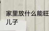 家里放什么能旺儿子 家里什么方位旺儿子