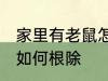 家里有老鼠怎么抓 家里有老鼠怎么办如何根除