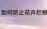 如何防止花卉烂根 怎么防止花卉烂根