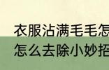 衣服沾满毛毛怎么去掉 衣服上沾毛毛怎么去除小妙招