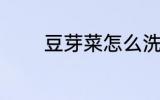 豆芽菜怎么洗 豆芽菜如何洗