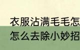 衣服沾满毛毛怎么去掉 衣服上沾毛毛怎么去除小妙招