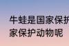 牛蛙是国家保护动物吗 牛蛙是不是国家保护动物呢