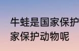 牛蛙是国家保护动物吗 牛蛙是不是国家保护动物呢
