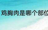 鸡胸肉是哪个部位 鸡胸肉是什么部位