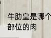 牛肋皇是哪个部位的肉 牛肋皇是什么部位的肉