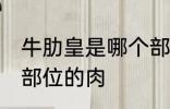 牛肋皇是哪个部位的肉 牛肋皇是什么部位的肉