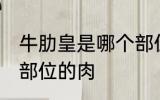 牛肋皇是哪个部位的肉 牛肋皇是什么部位的肉