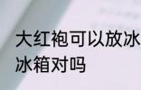 大红袍可以放冰箱吗 大红袍不可以放冰箱对吗