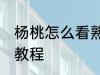 杨桃怎么看熟了嘛 分辨杨桃熟没熟的教程