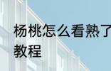 杨桃怎么看熟了嘛 分辨杨桃熟没熟的教程