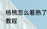 杨桃怎么看熟了嘛 分辨杨桃熟没熟的教程