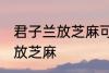 君子兰放芝麻可以吗 君子兰是否可以放芝麻