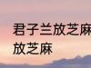 君子兰放芝麻可以吗 君子兰是否可以放芝麻