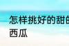 怎样挑好的甜的西瓜 如何挑好的甜的西瓜