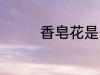 香皂花是什么 香皂花介绍