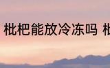 枇杷能放冷冻吗 枇杷可以冷冻保存吗