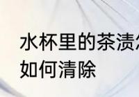 水杯里的茶渍怎么去除 水杯里的茶渍如何清除