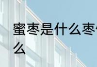 蜜枣是什么枣做的 制作蜜枣的枣是什么