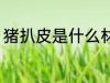猪扒皮是什么材质 猪扒皮是哪种材质