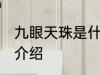 九眼天珠是什么材质 九眼天珠的材质介绍