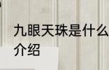 九眼天珠是什么材质 九眼天珠的材质介绍