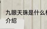九眼天珠是什么材质 九眼天珠的材质介绍