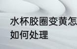 水杯胶圈变黄怎么处理 水杯胶圈变黄如何处理