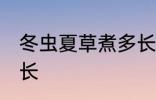 冬虫夏草煮多长时间 冬虫夏草煮的时长