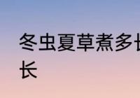 冬虫夏草煮多长时间 冬虫夏草煮的时长