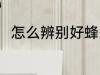怎么辨别好蜂蜜 辨别好蜂蜜的方法