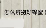 怎么辨别好蜂蜜 辨别好蜂蜜的方法